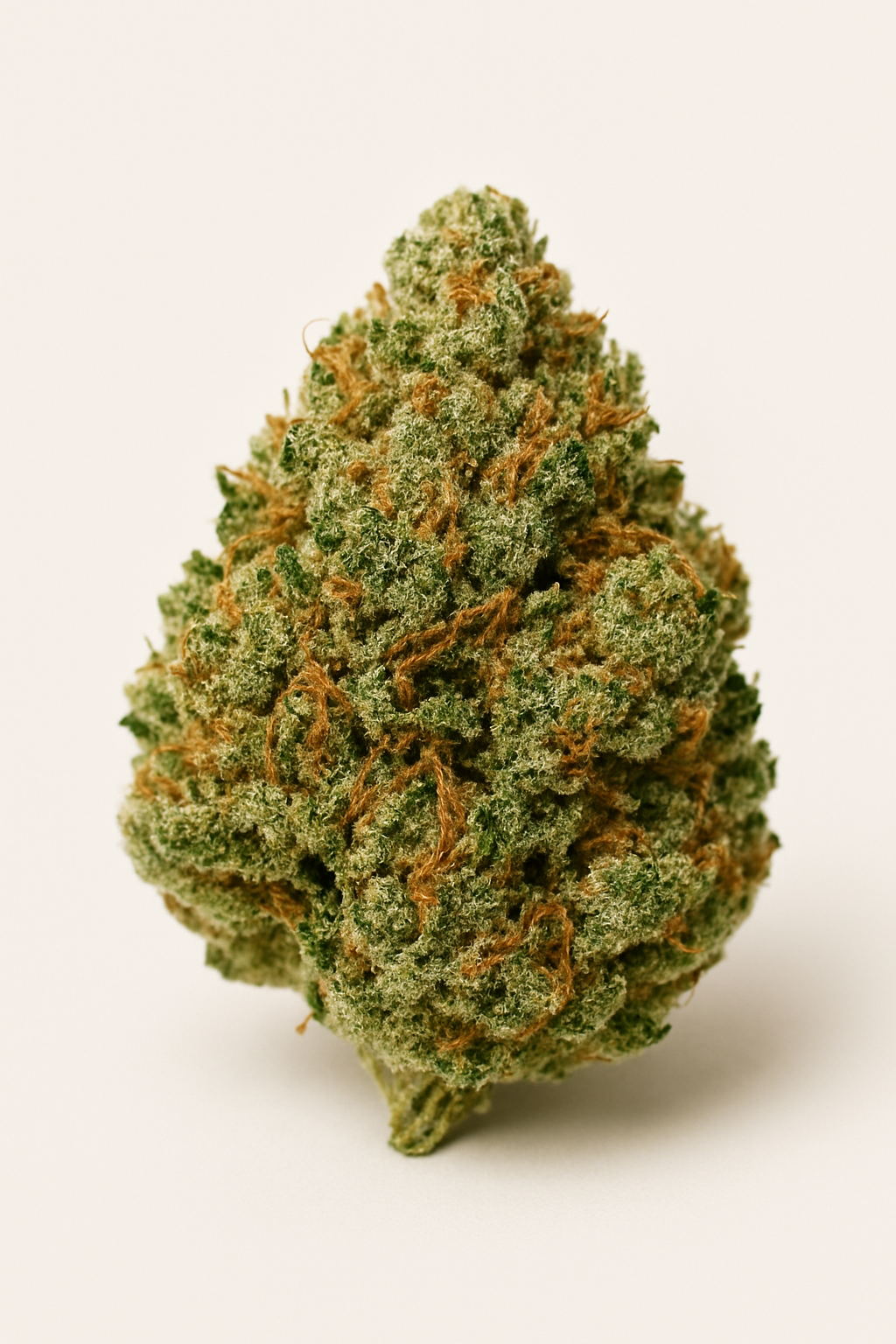 Gorilla Glue (GG4): The Strain Medical Marijuana Patients Can’t Stop Talking About